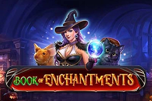 Book Of Enchantments